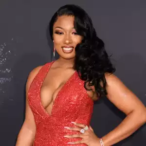 Megan Thee Stallion Sued For Allegedly Forcing Cameraman Watch S3xual Act