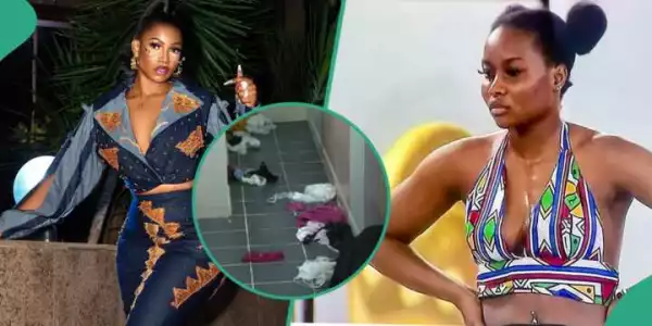 Tacha Reacts to BBNaija All Stars’ Ike Throwing Ilebaye’s Clothes All Over House Floor