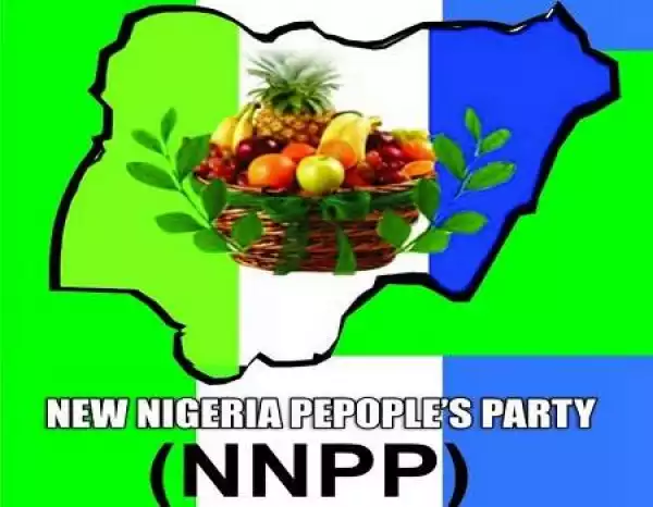 NNPP Sues INEC Over FCT Senatorial Poll