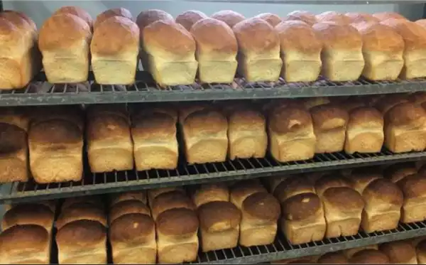 Bread Shortage Looms As Over 40 Bakeries Shut Down In Abuja