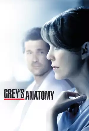 Greys Anatomy Season 19