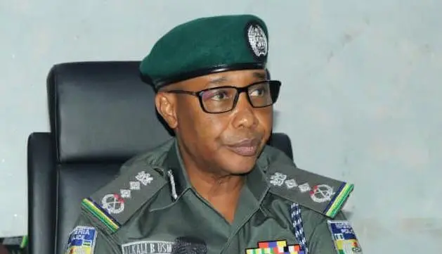 National security: IGP redeploys 86 DCPs, 206 ACPs