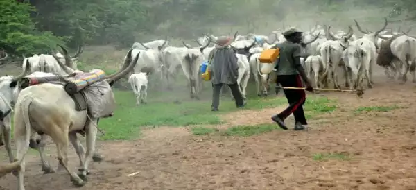 Unrest In Kaduna State Community As Suspected Herdsmen Kill Four, Injure Many