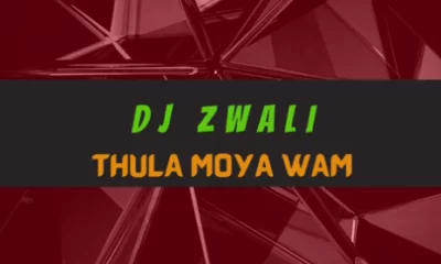 DJ Zwali – Thula Moya Wam (Gospel Gqom)