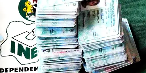Polls: Let schools go on break for us to collect our PVCs —NANS tells FG
