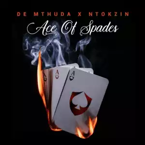 De Mthuda, Ntokzin – uMsholozi (feat. MalumNator)