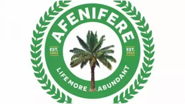 Elections Must Hold, Afenifere Tells INEC