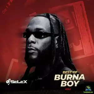 DJ Selex – Best Of Burna Boy Mixtape Vol.2