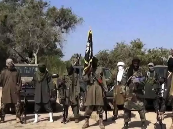 Boko Haram Fighter, Saad Karami ‘Surrenders’ To Nigerian Troops