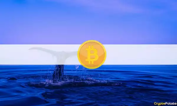 After Short Break, Third Largest Bitcoin Whale Buys $24M Worth of BTC