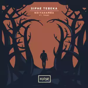 Siphe Tebeka, Toshi – Ndiyahamba (Ryan Murgatroyd Remix)