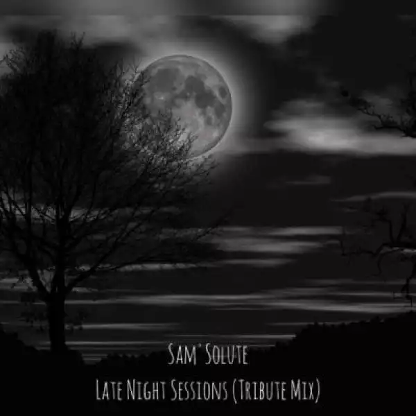 Sam’Solute – Late Night Sessions (Tribute Mix)
