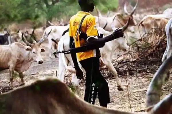 BUSTED!! Armed Robber Who Dresses Like A Herdsman Arrested In Ogun
