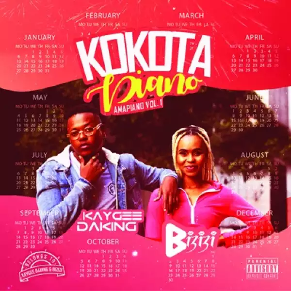 Kaygee DaKing & Bizizi – Kokota Piano (Amapiano, Vol. 1) (Album)