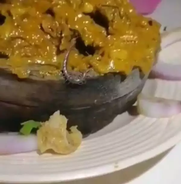 The Shocking Moment Customers Found Live Centipede In The Bowl Of Isi-ewu They Were Served In A Lagos Restaurant (Video)