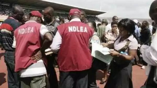 NDLEA Intercepts 80kg Of Cannabis In Edo