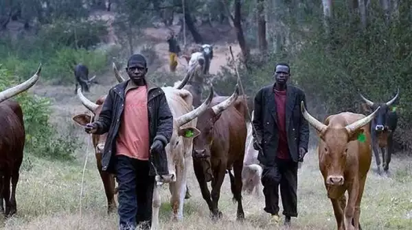 JUST IN!!! Ortom, Sule Warn Herders Against Trespassing Border Farmlands