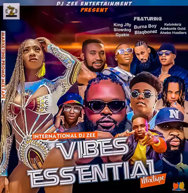 DJ Zee – Vibes Essential Mix