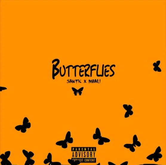 Santic Ft. Mbali – Butterflies