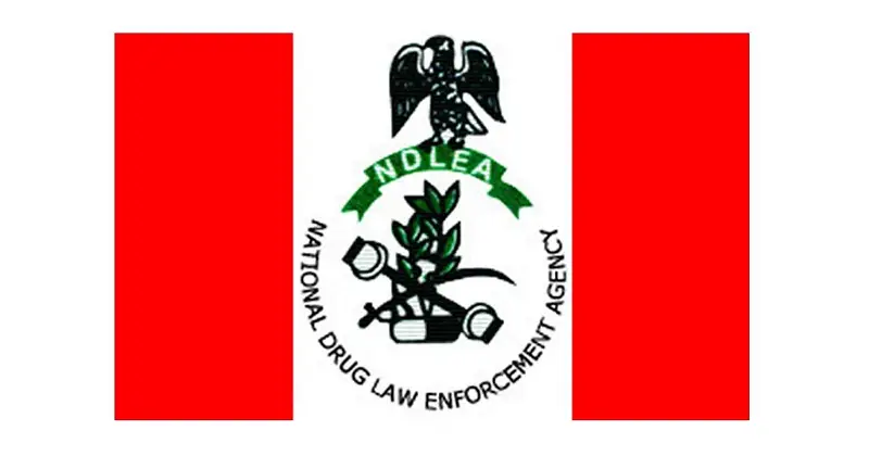 Marwa extends close of NDLEA recruitment portal by one week