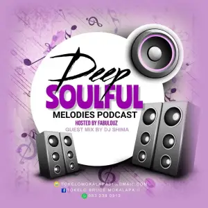 Dj Stokie Feat. Ben Da Prince ,Murumba Pitch & Jay Sax – Feelings(Dj Shima’s Revisit)