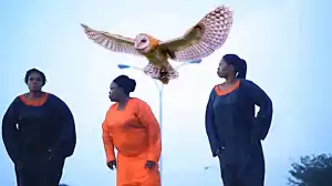 Adota Eleye (2023 Yoruba Movie)