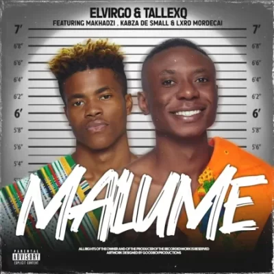 Elvirgo, TallexQ & Chicco – Malume 2.0 ft Makhadzi, Kabza De Small & Lxrd Mordecai