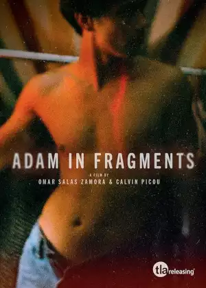 Adam in Fragments Season 1