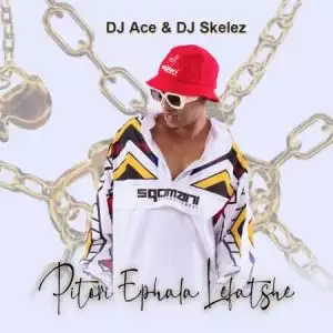 DJ Ace & DJ Skelez – Pitori Ephala Lefatshe
