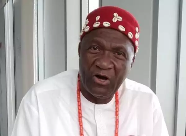 JUST IN!!! Ohanaeze Condemns Northern Elders South-east Travel Ban Over IPOB, Killings