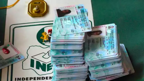 INEC Investigates PVCs Found In Anambra Forest
