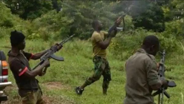 Gunmen Suspected To Be Terrorists Attack Enugu Community, Kill Two Residents Who Came Home For Christmas