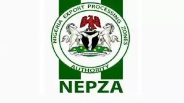 NEPZA kicks against provisions of Customs Service Bill
