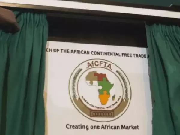 Nigeria needs fiscal sustainability to achieve AfCFTA gains