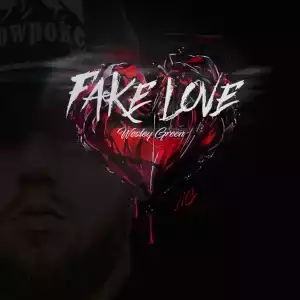 Wesley Green – Fake Love