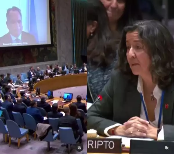 See The Moment 4.8-Magnitude Earthquake Shook Building And Interrupted UN Security Council Meeting