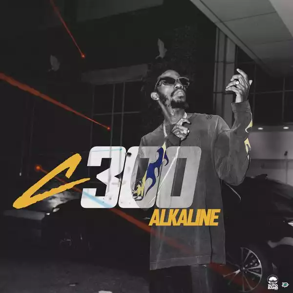 Alkaline – C300