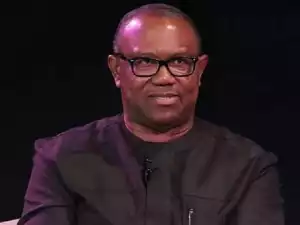 Accepting Grains From Ukraine Doesn’t Make Nigeria Failure – FG to Peter Obi