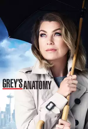 Greys Anatomy S19E08