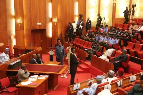 Senate Moves To Decentralize Nigeria Police