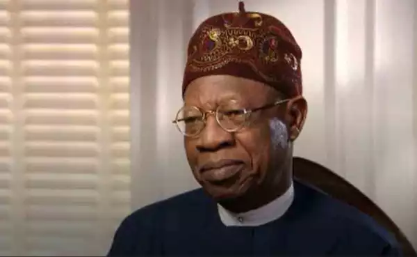 "You Need More Energy To Break Nigeria Than Fix It" - Lai Mohammed