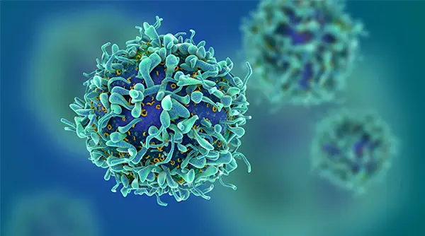 Cervical cancer: Nigeria records 32 cases, 22 deaths  daily — NIMR