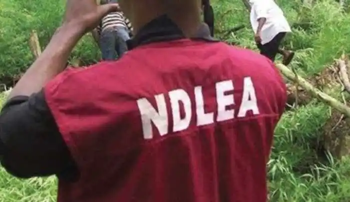 NDLEA Operatives Don’t Need Warrant To Search Your House