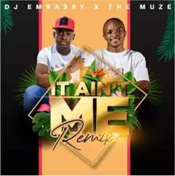 Dj Embassy & The Muze – It Ain’t Me (Remix)