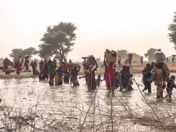 Bandits Force Over 60,000 Nigerians To Take Refuge In Niger Republic –UN Agency
