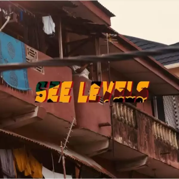BackRoad Gee – See Level Ft. Olamide