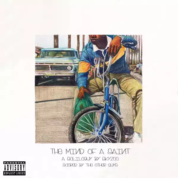 Skyzoo - Views From The Valley