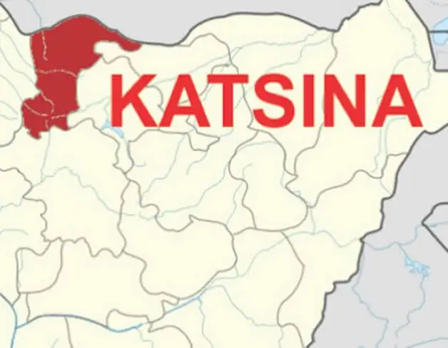 Katsina APC wins all Senatorial seats, 9 House of Reps