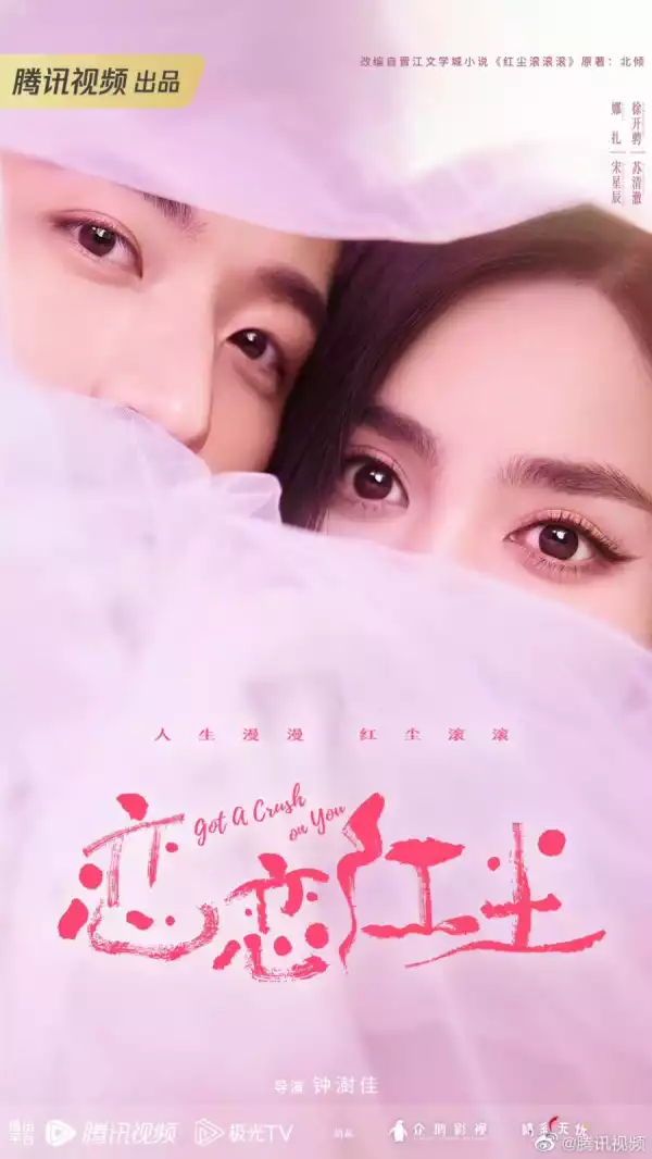Got a Crush on You (2023) [Chinese] (TV series)