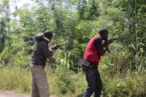 Many Feared Killed As Rival Bandit Groups Clash In Zamfara